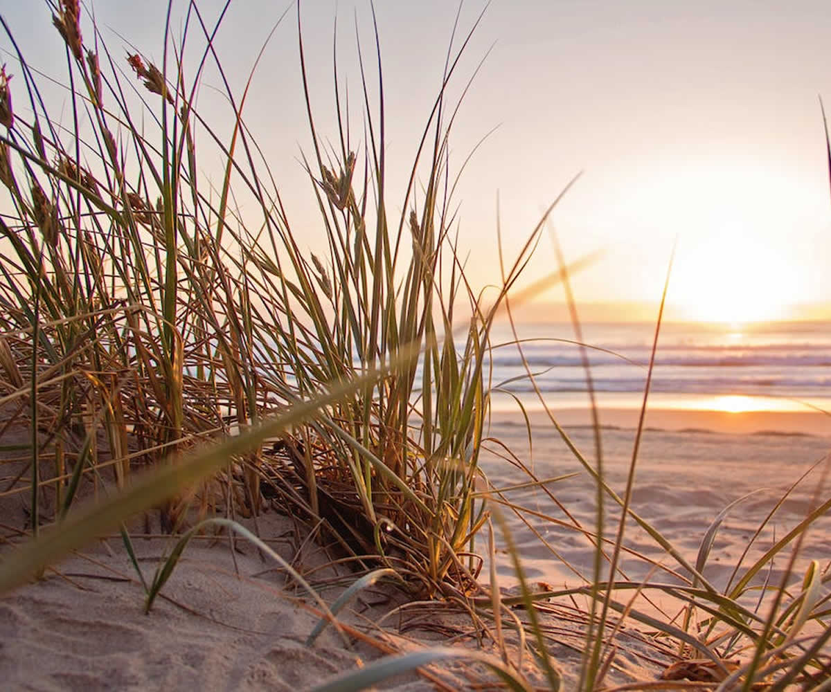 Contact RankTrust SEO