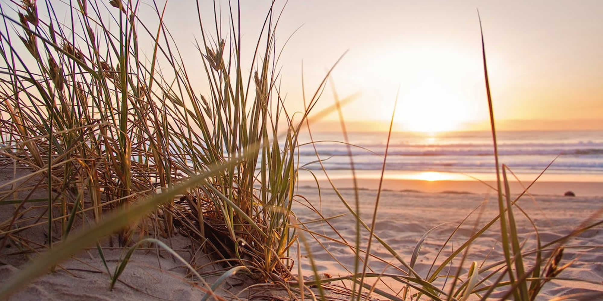 Contact RankTrust SEO