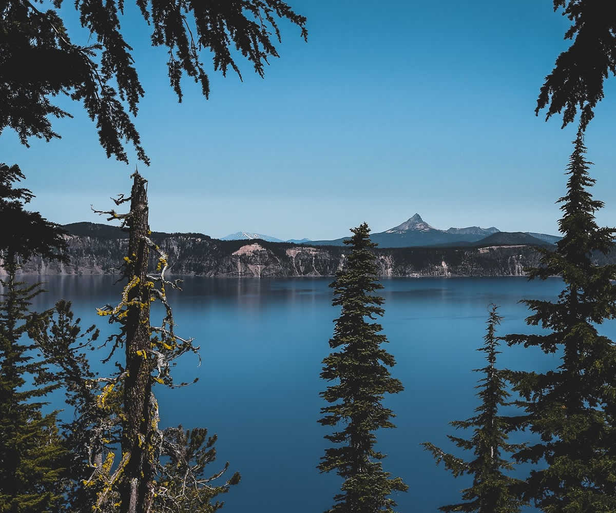 GBP Resource Library