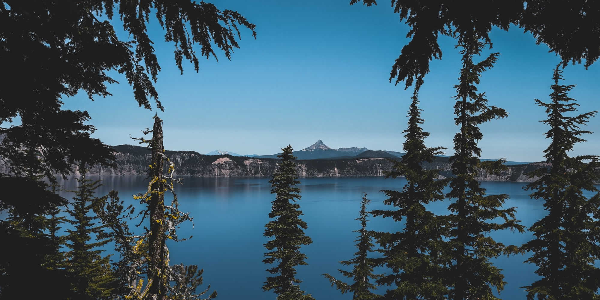 GBP Resource Library