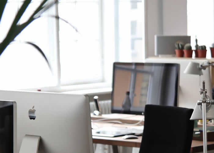 Local GBP Optimization Services