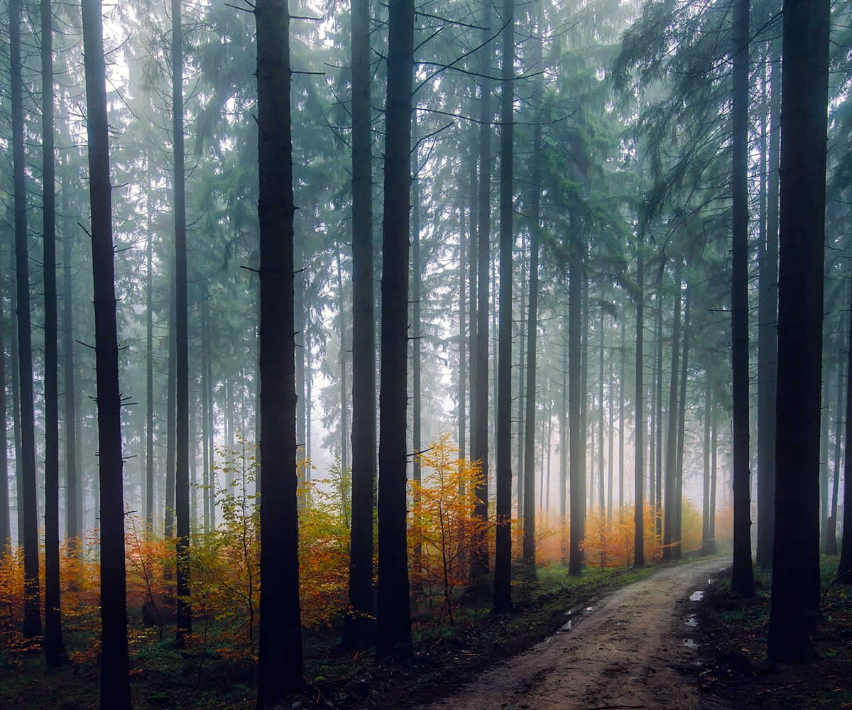 SEO Resource Library