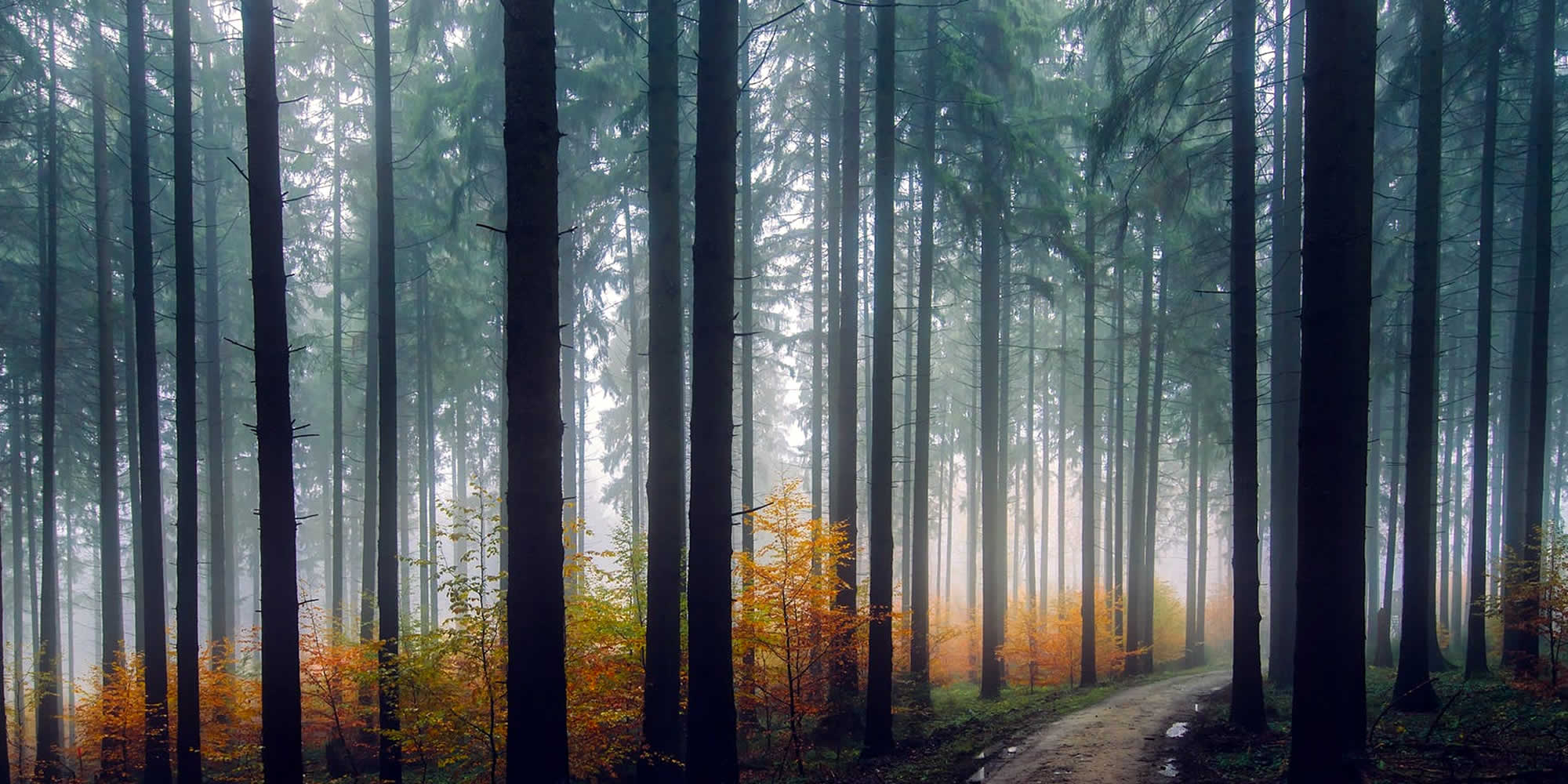 SEO Resource Library